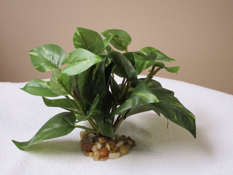 4 SMALL Green/white POTHOS Bush, Soft Silk Pothos Artificial Aquarium
