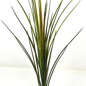 15” Green-RED SPIKE WEED plastic aquarium plant & stone base