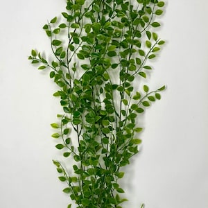 27" Large 3-stem soft, flowing PEA LEAF Plastic Plant with stone base