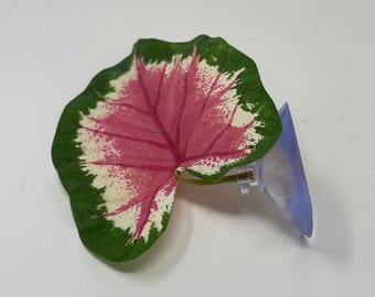 Tiny 3" Soft Betta Hammock!! 1-leaf Pink & Green Caladium Silk Plant w/ SUCTION CUP