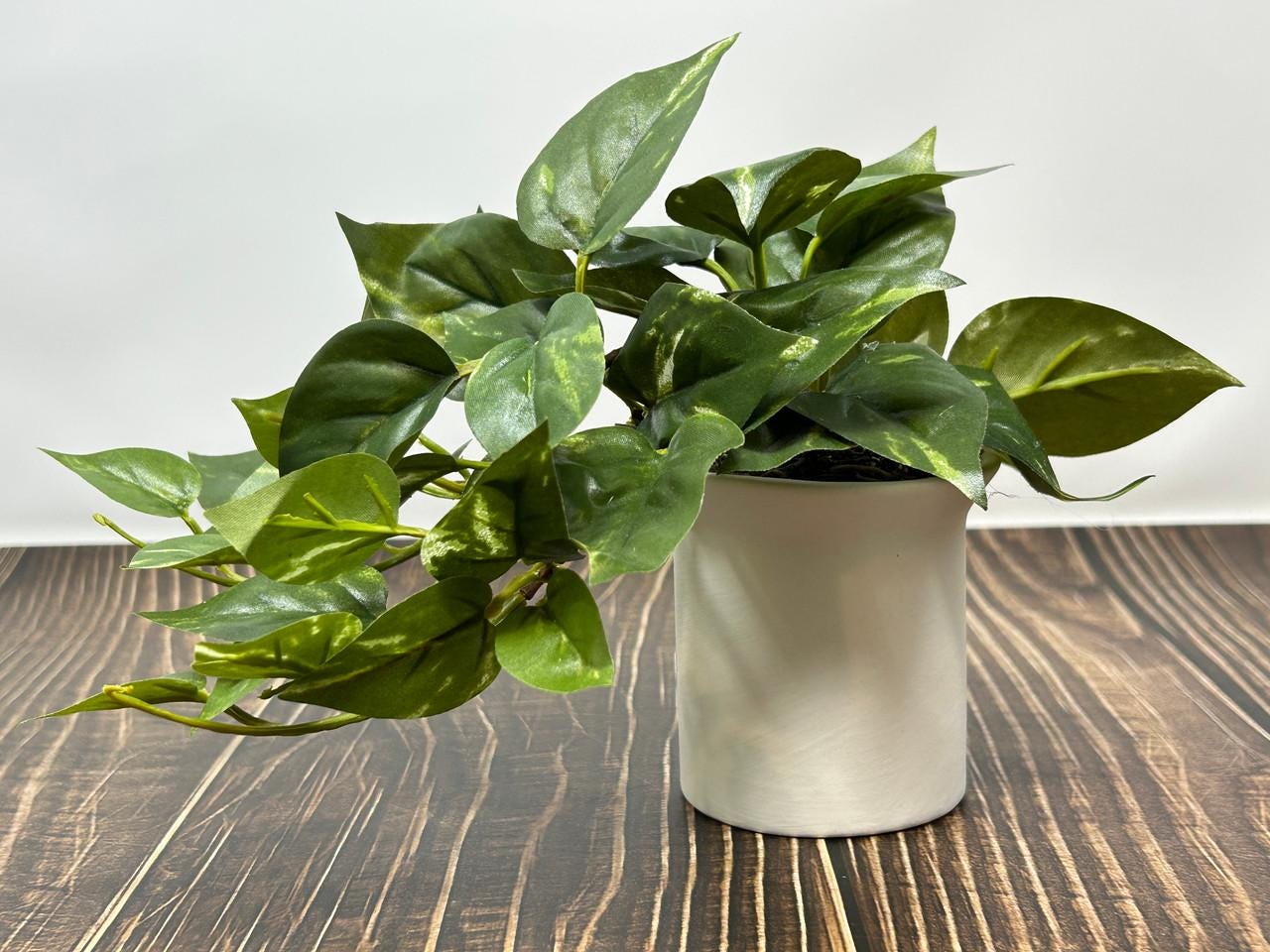 healthy pothos Golden Pothos Totem | Easy, Beginner-Friendly Houseplants