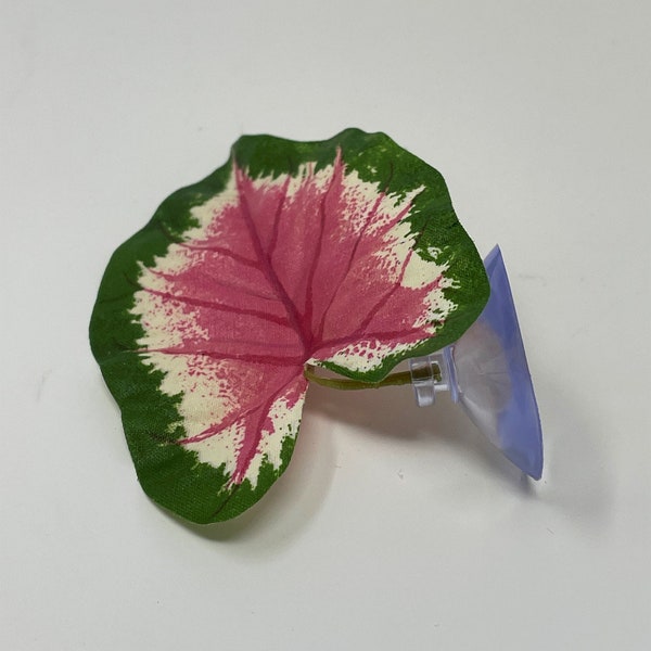 Tiny Soft Betta Hammock!! 1-leaf Pink  and  Green Caladium Silk Plant w- SUCTION CUP