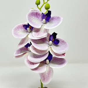 Phalaenopsis VIOLET DOUBLE ORCHIDÉE 23 cm pour aquarium, soie douce, base en pierre