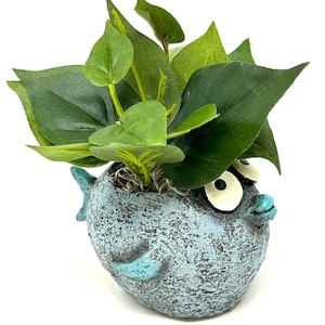 May include: A whimsical, light blue fish-shaped planter with large, googly eyes and turquoise accents. The planter is filled with vibrant green leafy plants, creating a playful and decorative accent for any space.