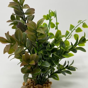 6&quot; BOXWOOD COMBO 823: bruin buxus, salie buxus en erwtenblad plastic planten, stenen voet