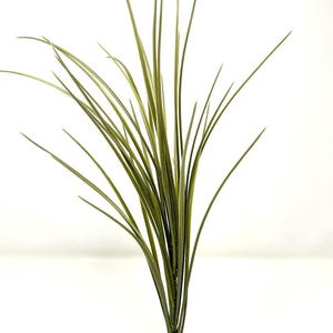 15” OLIVE Green SPIKE WEED plastic aquarium plant & stone base