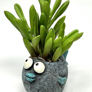 Blob House Planters - Etsy