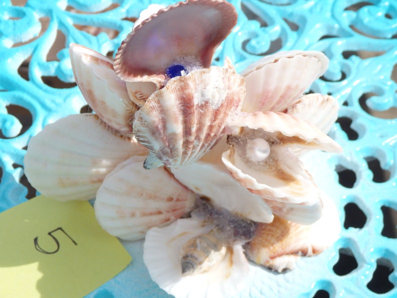 Sea SHELL ART 5 cluster sculpture with 1 hidden Pearl, 1 Blue Gem & snail shell, treasure, aquarium safe, natural seashell, beach theme image 1