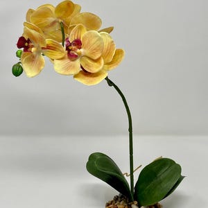 Home Decor 10-14&quot; Peach Orange PHALAENOPSIS ORCHID Soft Silk flower plant, Stone base