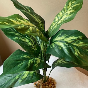 14" Silk Dieffenbachia Aquarium Plant: Spotted Leaf, Stone Base