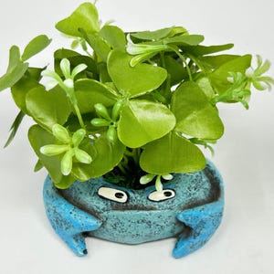 Krusty Crab Blob House Planter with Silk Shamrock