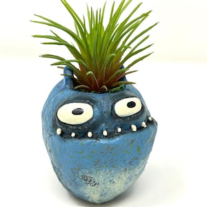 May include: A blue, monster-faced ceramic planter with a green plant. The planter has large white eyes, a toothy grin, and a textured surface. The plant has long, green leaves.