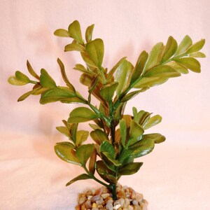 5.5&quot; Small LIGHT GREEN BOXWOOD Plastic Plant w/ Stone base