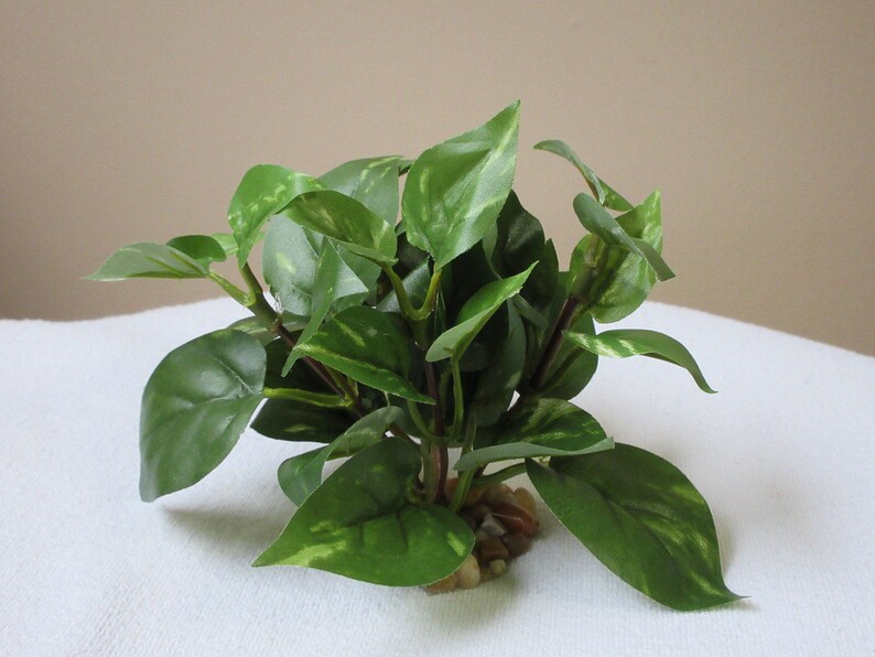 4 SMALL Green/white POTHOS Bush, Soft Silk Pothos Artificial Aquarium