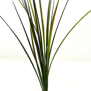 13" 1-stam ROOD/Groen SPIKE onkruidgras kunststof plant, stenen voet