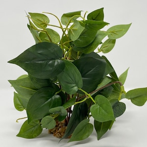 7" Medium ALL GREEN POTHOS Bush, soft silk Pothos Artificial Aquarium plant w- stone base, natural, realistic, life-like