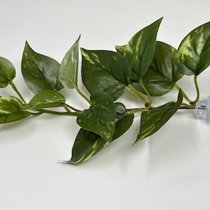 Puede incluir: Planta verde artificial con hojas abigarradas y una ventosa transparente. La planta tiene múltiples hojas en varios tonos de verde y blanco. La planta está diseñada para fines decorativos.