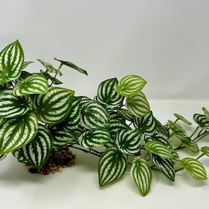 SANDÍA XL de 18" de largo, planta de acuario de seda de enredadera colgante, base de piedra