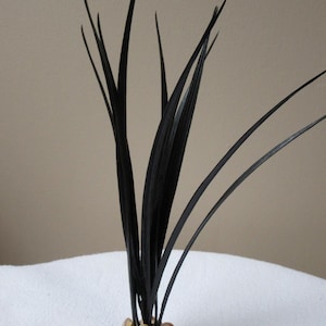 10&quot; SMALL Black Vanilla SWORD GRASS plastic plant, stone base