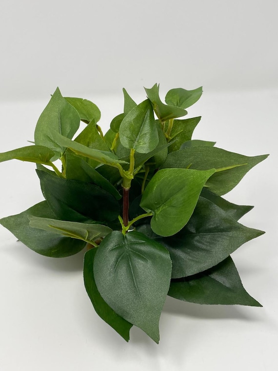 4" SMALL (4-stem) All Green POTHOS Bush, Soft Silk Pothos Plant, Stone Base  - Etsy