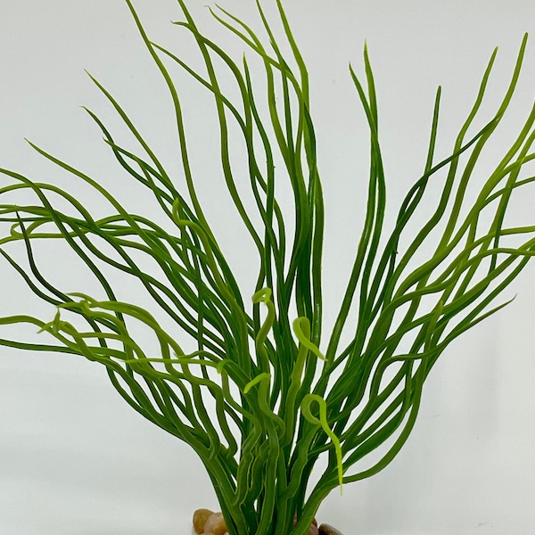 6” THICK  8-stem Curly Sea Grass Soft Willow plastic plant, stone base