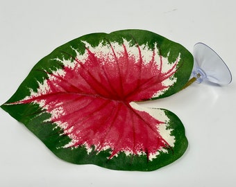 Small 4" Soft Betta Hammock!! 1-leaf Pink & Green Caladium Silk Plant w/ SUCTION CUP