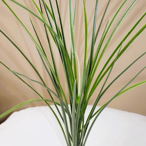 15” Green-WHITE SPIKE WEED plastic aquarium plant & stone base