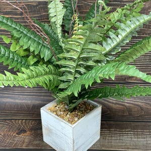 15&quot; Potted faux Boston Fern Silk plant in White wood box - Home Decor