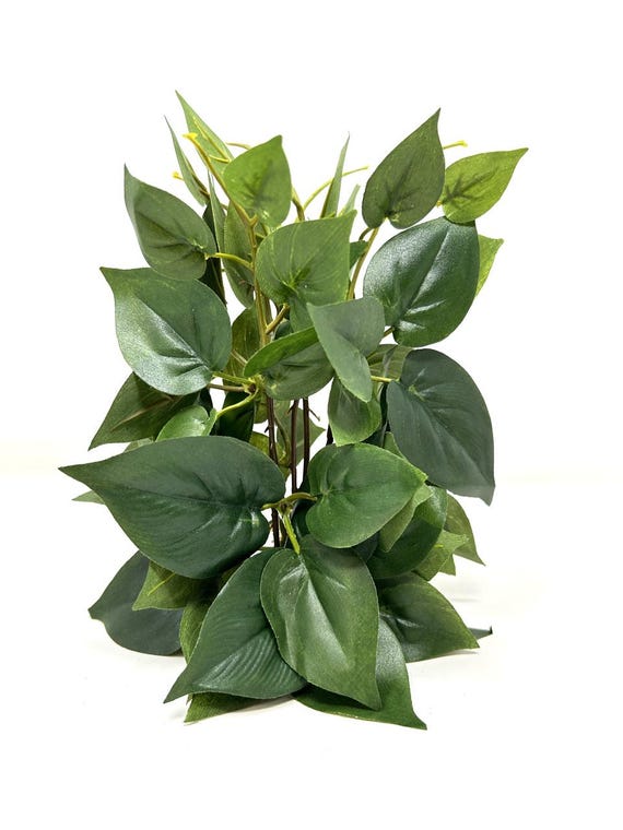 Silk Pothos Aquarium Plant: 7" Green Bush, Stone Base