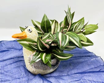 Maceta SEAGULL Blob House de 7" con planta artificial Tradescantia verde-blanca-rosa para decoración de casa de playa.