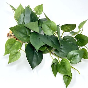 POTHOS verde oscuro de 8" de largo y bajo, planta de acuario de seda suave, base de piedra