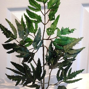 11&quot; x 7&quot; Small Green ARALIA Bush silk Plant, Stone Base