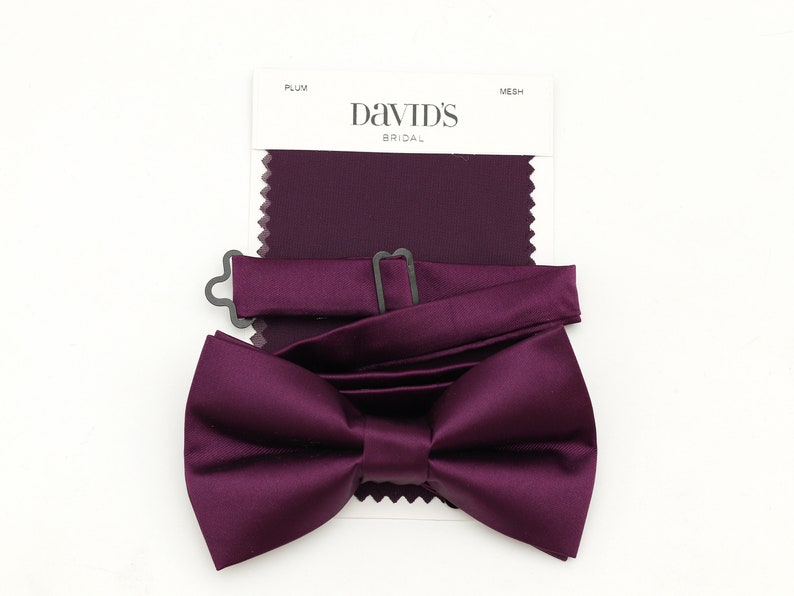 mens plum tie