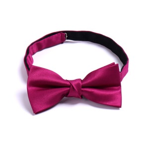 davids bridal color match ties