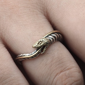 Anillo de plata esterlina Ouroboros, joyería de plata, anillo de mujer, anillo de hombre, anillo gótico, anillo de serpiente