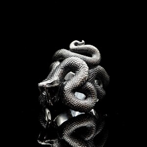 Può includere: Un anello a forma di serpente in argento con un design a spirale dettagliato. Il serpente è raffigurato con la testa sollevata e un corpo testurizzato.