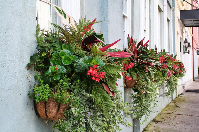 Window Boxes Of Charleston SC Etsy