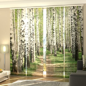 Può includere: Alberi di betulla bianchi con foglie verdi e un sentiero di terra in un ambiente boschivo. L'immagine è stampata su una tenda di tessuto trasparente.