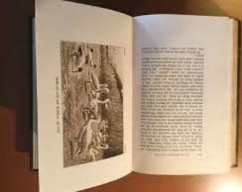 PERSONALIZED 1924 FOLDED BOOK, Brehms Tierleben - any of my Folding by your choice, gift for unique people, animals lovers, Nature art,