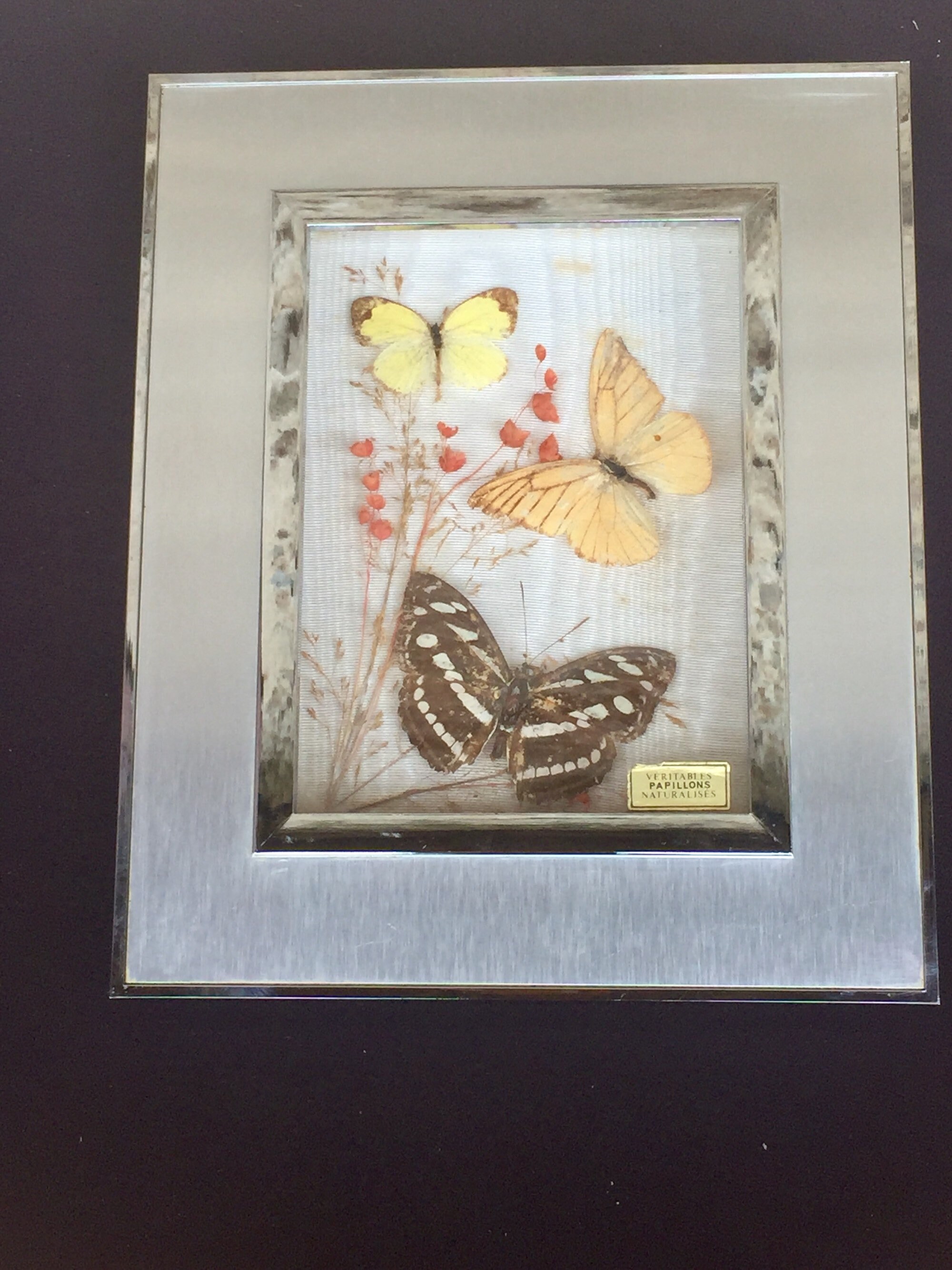 Adorable Cadre Papillons Vintage Aspect Alu Brossé