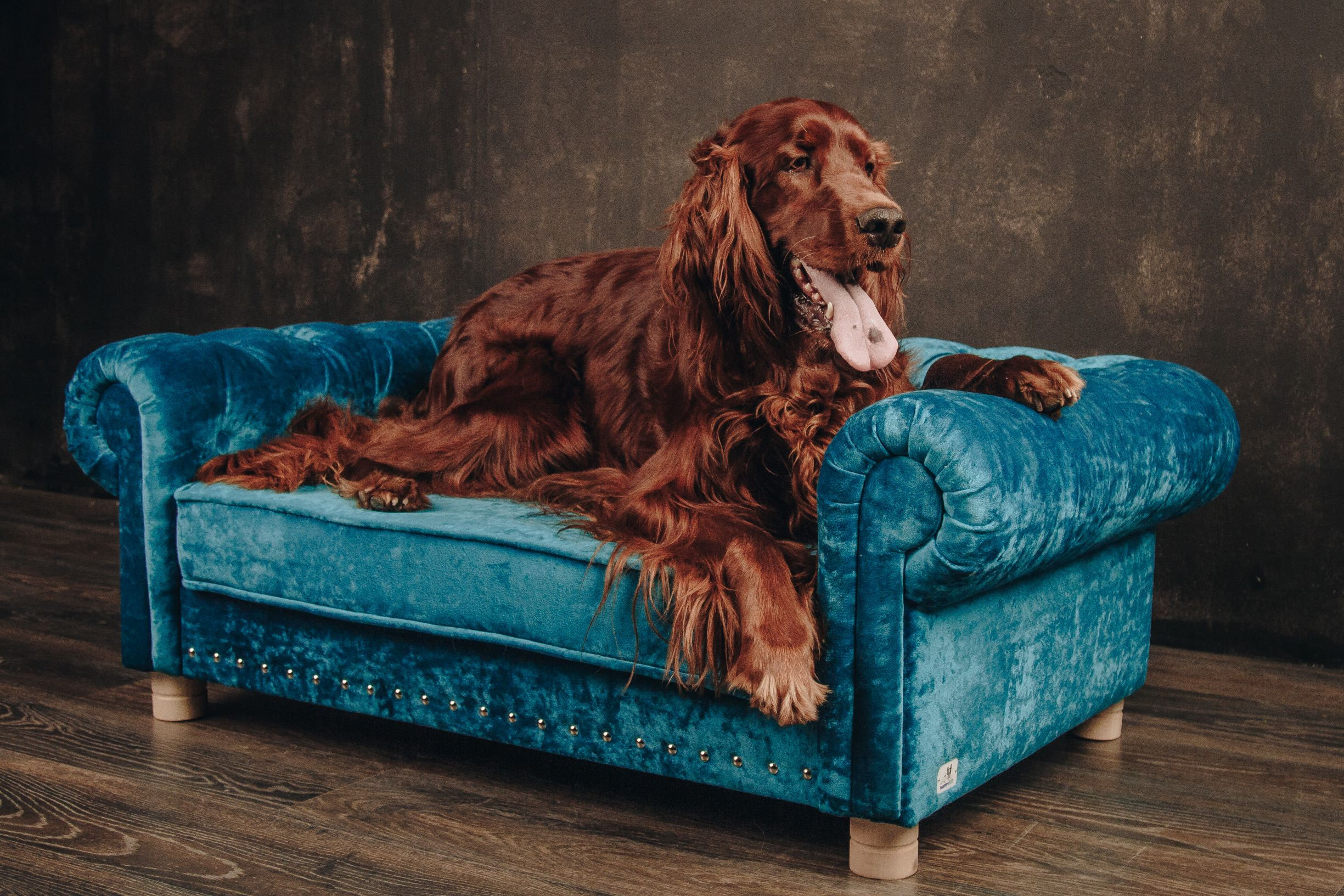 fancy dog beds for large dogs