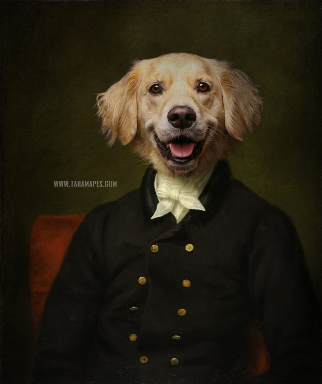 Royal Pet Portrait Template by Tara Mapes Pet Portrait Etsy