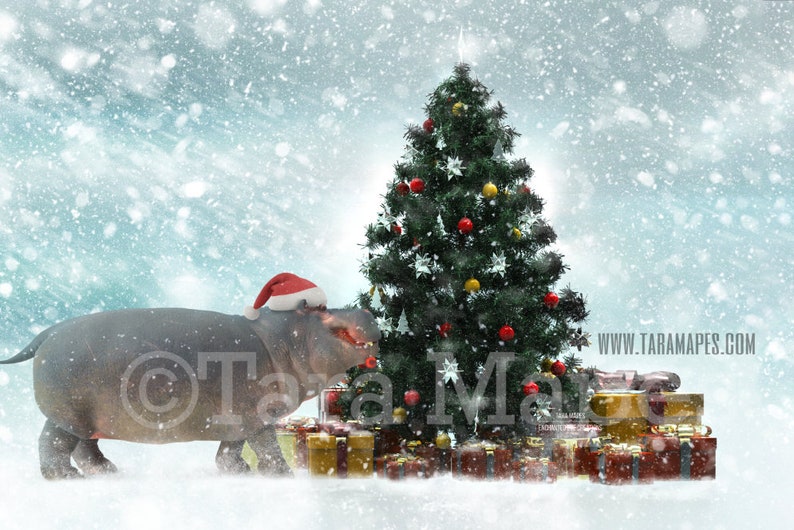 Christmas Hippo Decorating Christmas Tree Hippopotamus Etsy