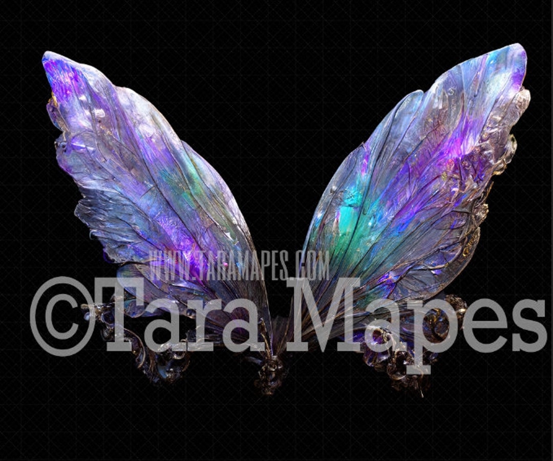 Fairy Wing Overlay Iridescent Fairy Wing Overlay Rainbow Etsy