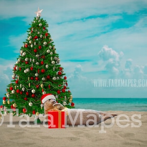 Christmas Digital Backdrop Christmas Beach With Seal - Etsy