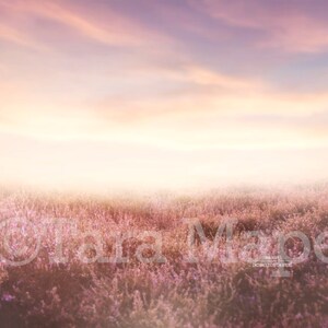 Digital Backdrop Warm Field of Lavender Heather Flowers | Etsy