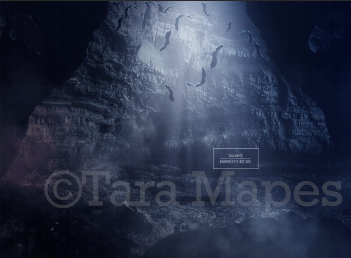 Bat Cave Bats In Cave Digital Background Etsy