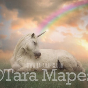 Unicorn Digital Backdrop - Unicorn in Soft Pastel Field- Unicorn in Field with Rainbow - JPG file Digital Background