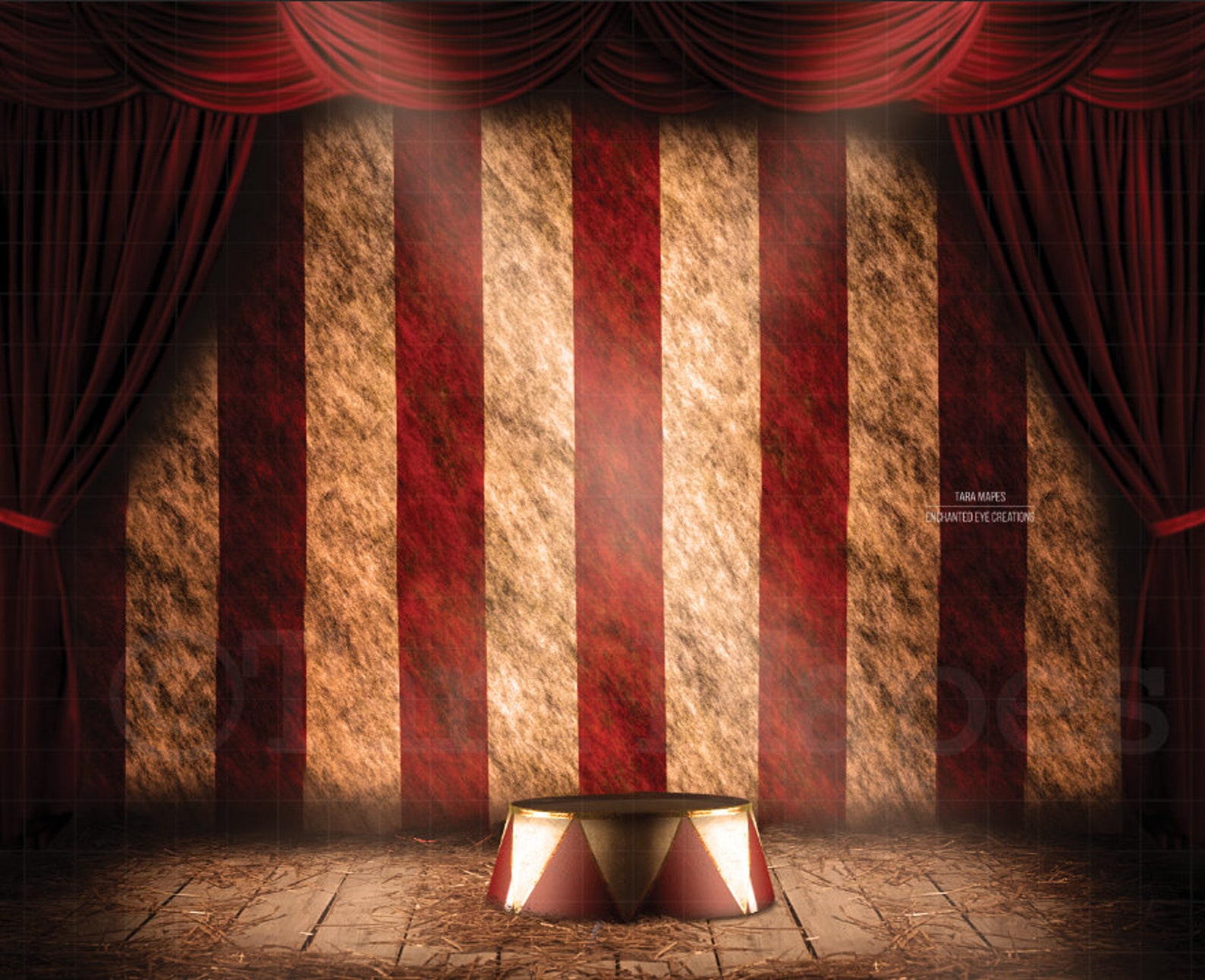 Circus Digital Backdrop Circus Stage With Lion Stand Digital Etsy