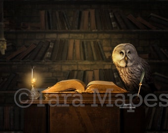 Fairytale Digital Backdrop - Magic Book on Desk  - Spell Book - Old Library- Digital Background / Backdrop